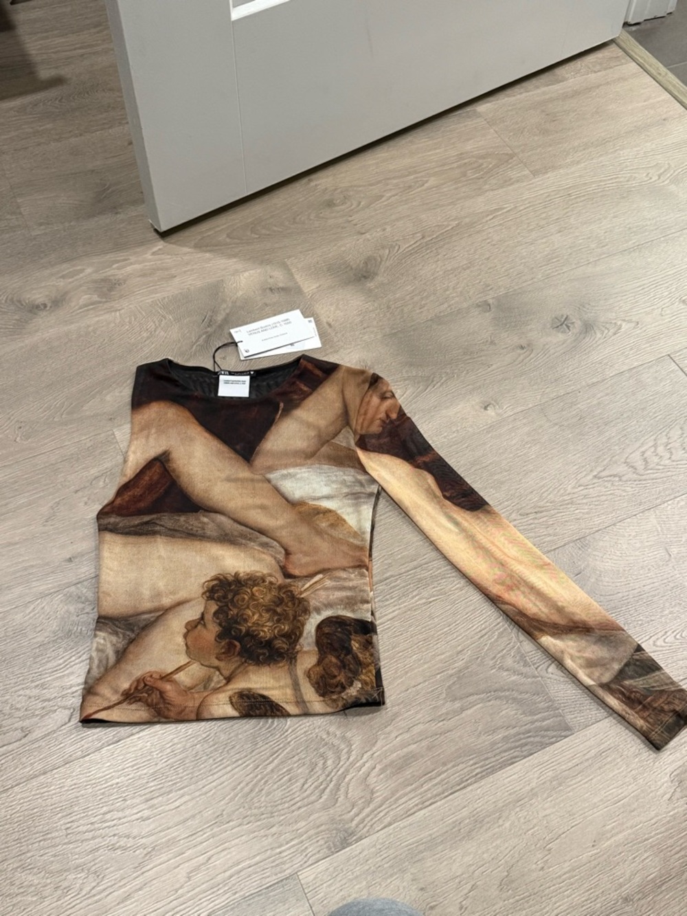 Zara One Sleeve Mesh Top with Renaissance Print